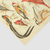 Bird Ephemera Decoupage Kardinal Seidenpapier (Ausschnitt)
