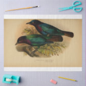 Bird Ephemera Decoupage Lila Aquamarin Seidenpapier (Basteln)