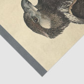 Bird Ephemera Decoupage Sea Eagle Seidenpapier (Ausschnitt)