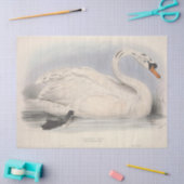 Bird Ephemera Decoupage Seidenpapier (Basteln)