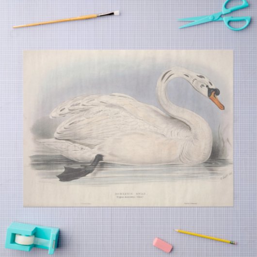 Bird Ephemera Decoupage Seidenpapier (Basteln)