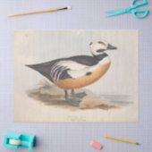 Bird Ephemera Decoupage Vintag Duck Seidenpapier (Basteln)