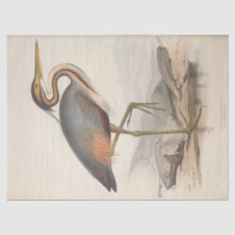 Bird Ephemera Decoupage Vintag Heron Nautic Seidenpapier