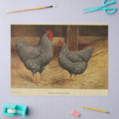 Bird Ephemera Decoupage Vintag Rooster Hen Barn Seidenpapier (Basteln)