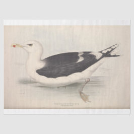 Bird Ephemera Decoupage Vintag Seagull Seidenpapier