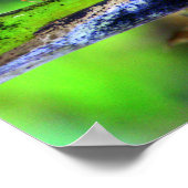 Bird Eye Butterfly Poster (Ecke)