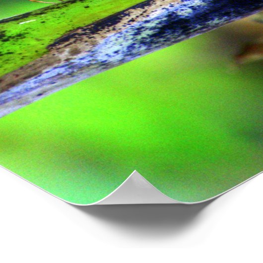 Bird Eye Butterfly Poster (Ecke)