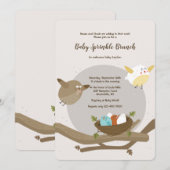 Bird Family Baby Dusche Einladung (Vorne/Hinten)
