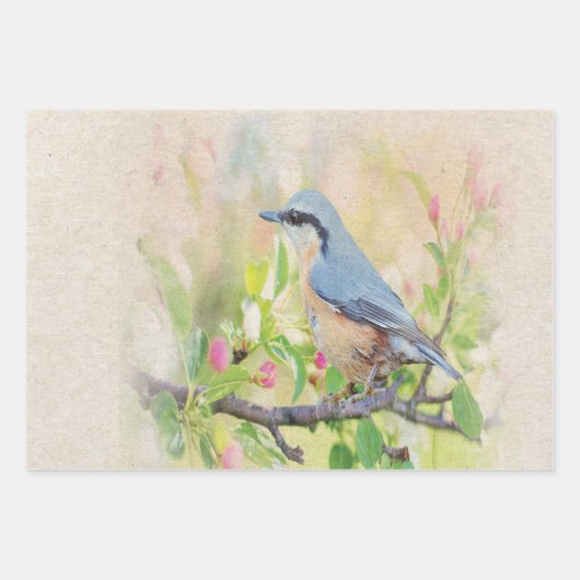 Bird Fanatic Geschenkpapier Set (Vorderseite 3)