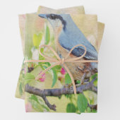 Bird Fanatic Geschenkpapier Set (Beispiel)