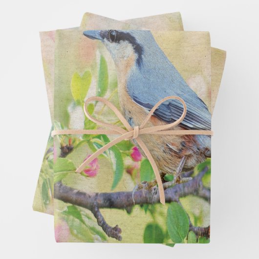 Bird Fanatic Geschenkpapier Set (Beispiel)