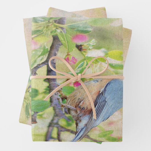 Bird Fanatic Geschenkpapier Set (Beispiel)