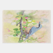 Bird Fanatic Geschenkpapier Set (Vorderseite)