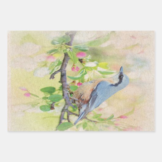 Bird Fanatic Geschenkpapier Set (Vorderseite)