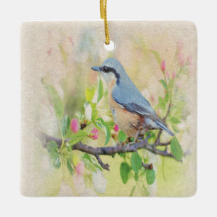 Bird Fanatic Keramikornament