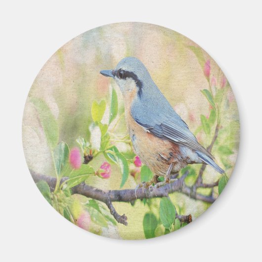 Bird Fanatic Magnet (Vorne)