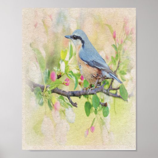 Bird Fanatic Poster (Vorne)