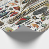 Bird Feather Wildlife Antique Feathers Art Nouveau Geschenkpapier (Ecke)