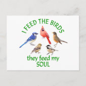 BIRD FEED POSTKARTE (Vorderseite)