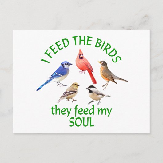 BIRD FEED POSTKARTE (Vorderseite)