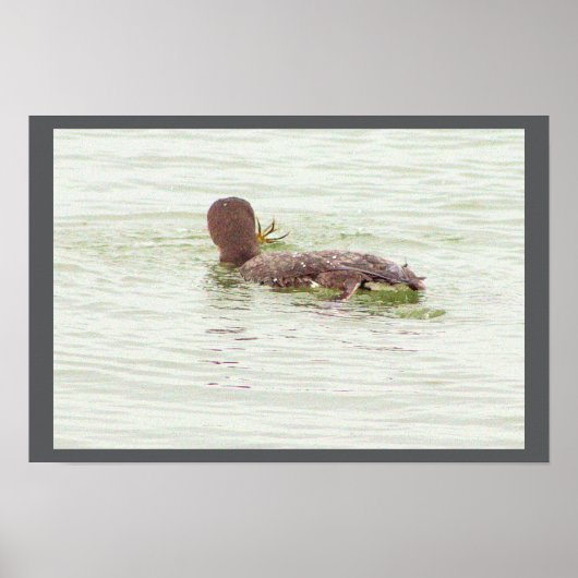 Bird Fishing in Ocean Poster (Vorne)