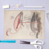 Bird Flamingo Ephemera Decoupage Seidenpapier (Handwerk)