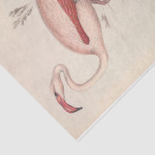 Bird Flamingo Ephemera Decoupage Seidenpapier (Ausschnitt)