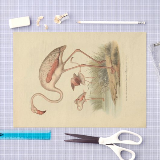 Bird Flamingo Ephemera Decoupage Seidenpapier (Handwerk)