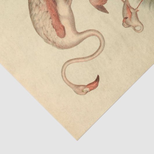 Bird Flamingo Ephemera Decoupage Seidenpapier (Ausschnitt)