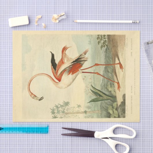 Bird Flamingo Ephemera Decoupage Seidenpapier (Handwerk)