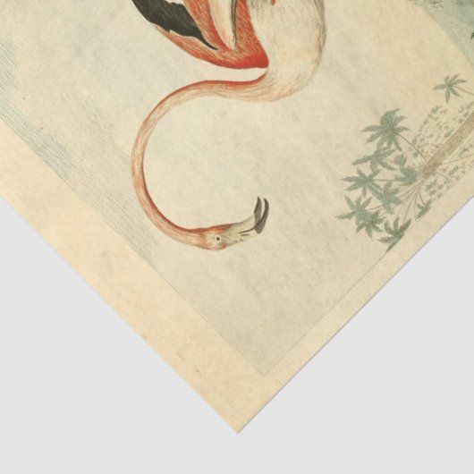 Bird Flamingo Ephemera Decoupage Seidenpapier (Ausschnitt)