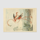 Bird Flamingo Ephemera Decoupage Seidenpapier (Vorderseite)