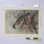 Bird Floral Ephemera Decoupage Vintag Warbler Seidenpapier (Handwerk)