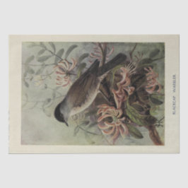 Bird Floral Ephemera Decoupage Vintag Warbler Seidenpapier
