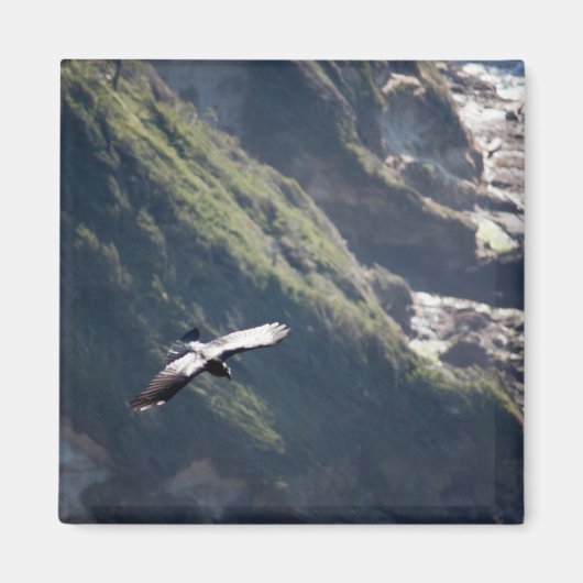 Bird Fly MAGNET (Vorne)