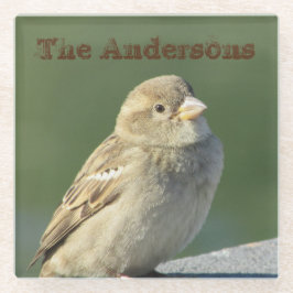 Bird Foto Familienname Brown House Sparrow Glasuntersetzer