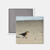 Bird Foto Magnet (Vorderseite/Rückseite)