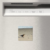 Bird Foto Magnet (In Situ (Geschirrspüler))