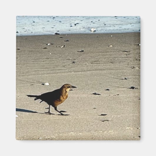 Bird Foto Magnet (Vorne)