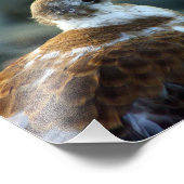 Bird Foto/Young Gull/Bird Lover Gift/ Fotodruck (Ecke)