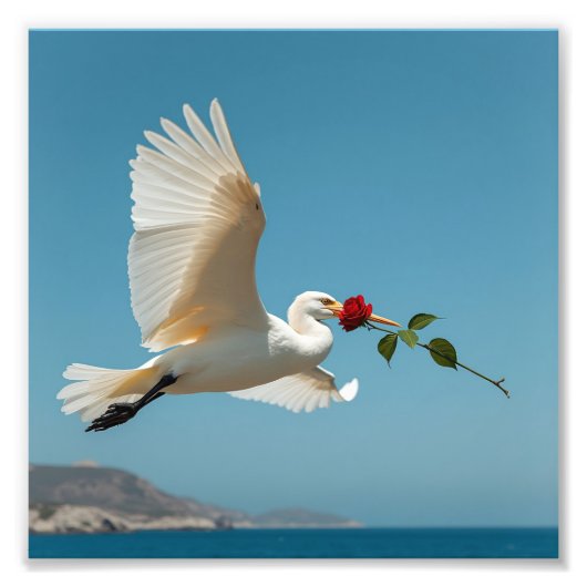 Bird Fotodruck (Vorne)