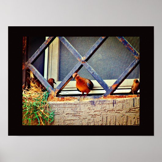 Bird Friends Poster (Vorne)