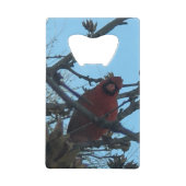 Bird Geldbeutel Flaschenöffner (Vorderseite)