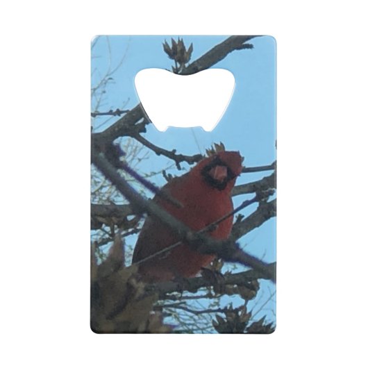 Bird Geldbeutel Flaschenöffner (Vorderseite)