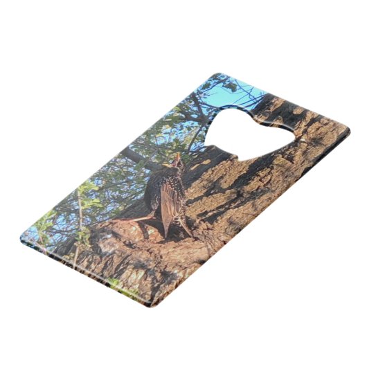 Bird Geldbeutel Flaschenöffner (Rückseite Schrägansicht)