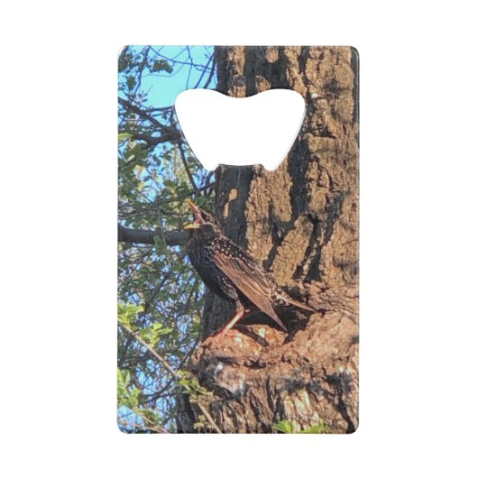 Bird Geldbeutel Flaschenöffner (Rückseite)