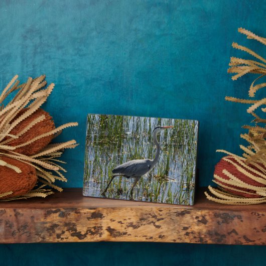 Bird Great Blue Heron Foto Fotoplatte (Seite)