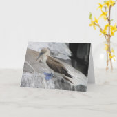 Bird Greeting Card Karte (Gelbe Blume)
