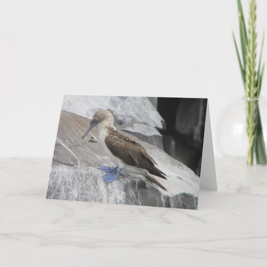 Bird Greeting Card Karte (Vorderseite)