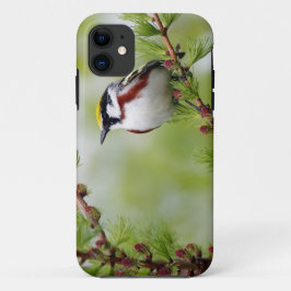 Bird grey_iphone Case-Mate iPhone hülle